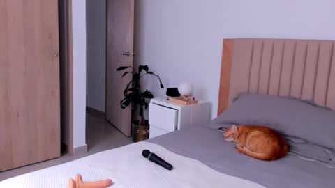 Snapshot of anahenao chatting on September 26, 2025, 8:57 pm Ana Henao or Annie... Follow me ahenaocb Insta X online show from September 26, 2025, 8:57 pm