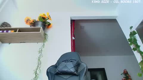 ana  online show from November 29, 2025, 10:07 am