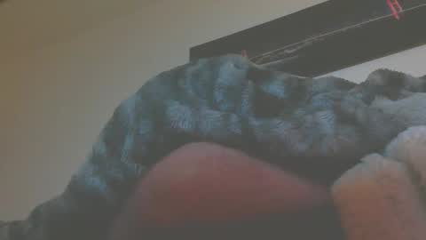 andreas online show from March 5, 2026, 5:14 am