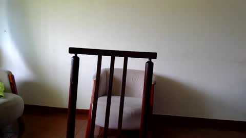 Andrea online show from October 31, 2025, 11:55 am