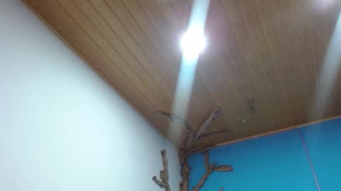 Snapshot of andrebigboobs chatting on February 3, 2026, 2:53 am Andre online show from February 3, 2026, 2:53 am