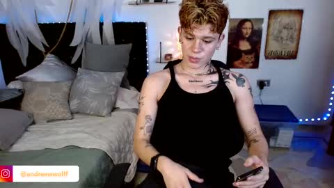 Snapshot of andreewwolffman chatting on December 3, 2024, 4:36 am Andrew online show from December 3, 2024, 4:36 am