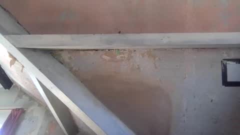 Andrew online show from April 2, 2026, 11:08 am