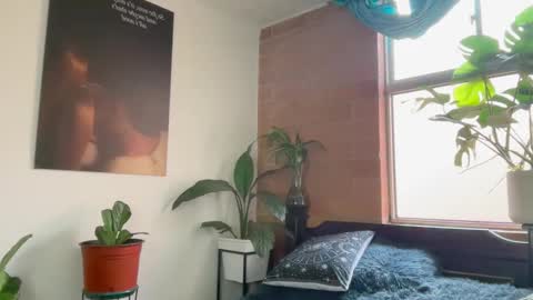 Andy online show from February 24, 2026, 1:09 pm