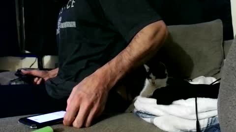 andybadass online show from October 28, 2025, 8:11 pm