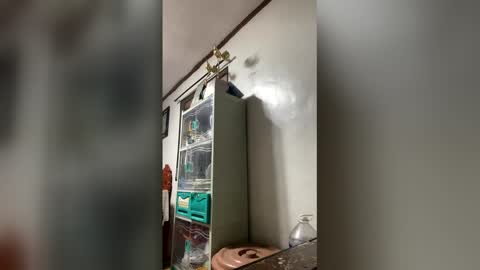 ange011 online show from March 23, 2026, 6:06 am