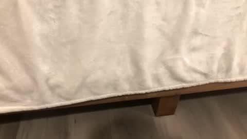 Snapshot of angeleliza0113 chatting on February 14, 2026, 6:32 am Mira13 online show from February 14, 2026, 6:32 am