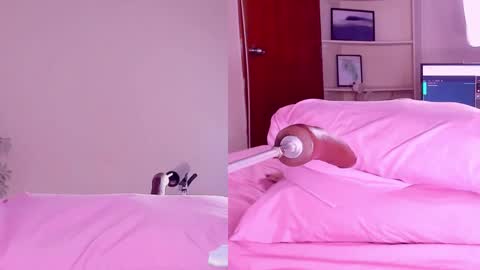 Snapshot of angeli__wu chatting on February 18, 2025, 3:21 am Angeli online show from February 18, 2025, 3:21 am