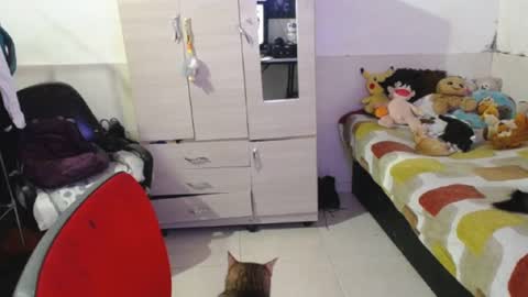 Snapshot of angelswhithe chatting on September 25, 2025, 7:06 pm angels online show from September 25, 2025, 7:06 pm