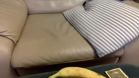 Snapshot of animal_michael chatting on December 21, 2024, 3:47 am animal_michael online show from December 21, 2024, 3:47 am