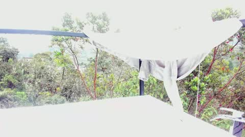  Anna Weells  online show from March 30, 2026, 2:29 pm