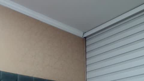       online show from February 19, 2026, 1:01 am