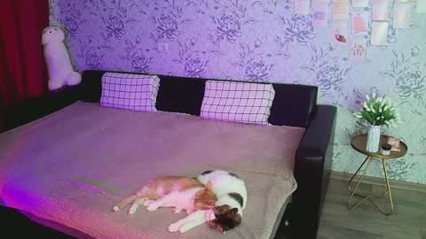 Snapshot of anny_shine chatting on December 16, 2024, 4:23 am Annie online show from December 16, 2024, 4:23 am