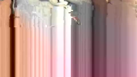 anonymous82389 online show from November 15, 2025, 4:03 pm