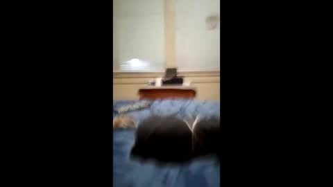 anthonymichael691973668762 online show from March 3, 2026, 7:14 am