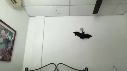 Snapshot of antoniabloom chatting on December 5, 2024, 3:28 pm Antonia online show from December 5, 2024, 3:28 pm