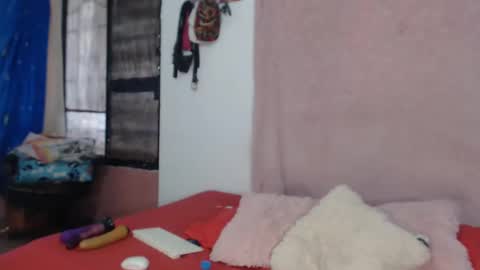 Snapshot of antony_2024 chatting on January 8, 2025, 9:01 pm karol y antony online show from January 8, 2025, 9:01 pm