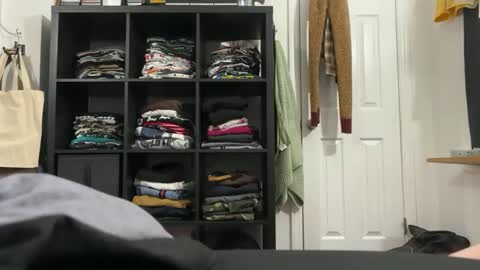 cowboy online show from November 20, 2025, 8:03 am