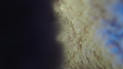 Abril Freelance Model online show from February 5, 2025, 5:09 am