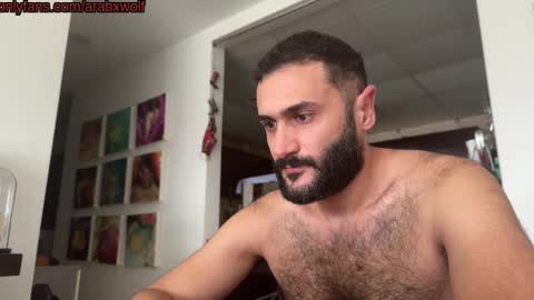 Snapshot of arabhairy90 chatting on November 9, 2025, 8:12 am hairycub online show from November 9, 2025, 8:12 am