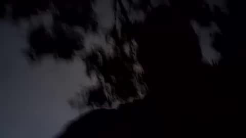 Snapshot of archangel__michael chatting on January 19, 2025, 11:34 am ARCHANGEL MICHAEl online show from January 19, 2025, 11:34 am