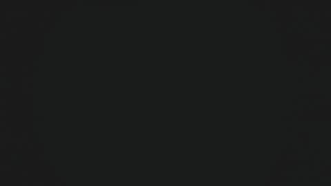 ARES online show from January 31, 2025, 11:35 am