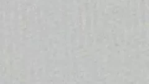 Ari online show from June 6, 2026, 9:03 am
