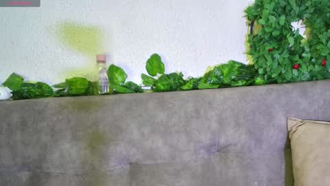 Snapshot of ari_kat666 chatting on December 11, 2024, 6:04 am ari online show from December 11, 2024, 6:04 am