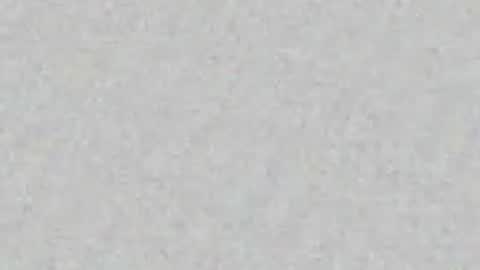 Arianna Collins online show from May 19, 2026, 11:49 am