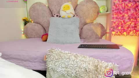 Snapshot of arianna_gren chatting on January 8, 2025, 8:27 am Arianna online show from January 8, 2025, 8:27 am