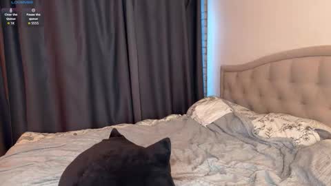 Snapshot of arlenhere chatting on October 22, 2025, 2:17 pm Mia Arlen online show from October 22, 2025, 2:17 pm