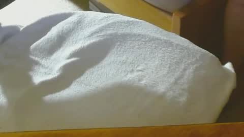 Snapshot of arnie12 chatting on December 22, 2024, 8:47 pm Arnie online show from December 22, 2024, 8:47 pm