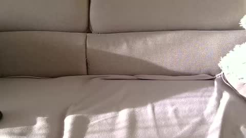 Snapshot of arpinopeer3055 chatting on November 5, 2025, 8:14 am arpinopeer3055 online show from November 5, 2025, 8:14 am