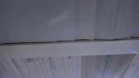 FENIX online show from November 20, 2025, 2:45 am