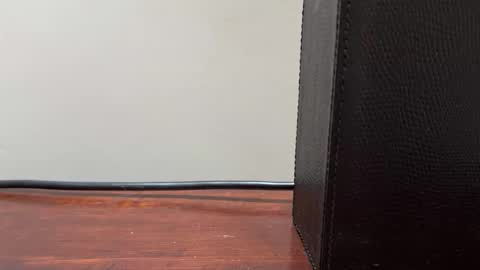 artisterotic online show from March 1, 2026, 9:55 am