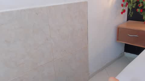 Snapshot of arya_nahalii chatting on January 24, 2025, 3:45 pm Ana online show from January 24, 2025, 3:45 pm