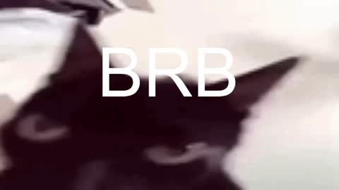 Snapshot of asheluck chatting on January 17, 2025, 11:29 pm AshleyAshe online show from January 17, 2025, 11:29 pm