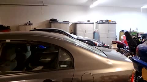 Ashelynn Grey online show from February 23, 2025, 12:16 pm