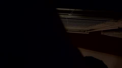 ashlynnblackx online show from April 21, 2026, 4:41 am