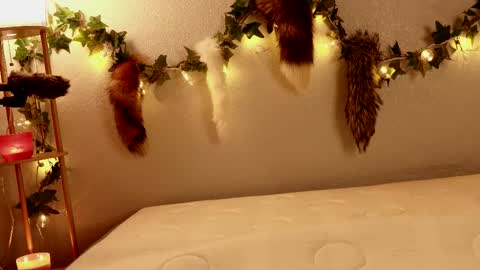 Snapshot of aspie_land chatting on February 20, 2026, 2:19 am Aspie Land online show from February 20, 2026, 2:19 am