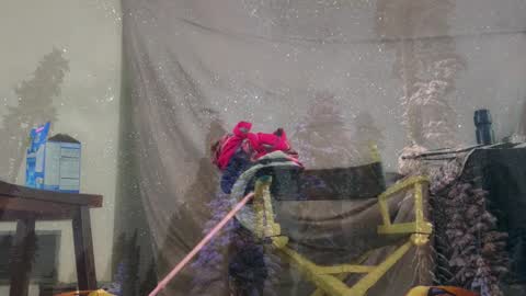 aspiringturtlegirl online show from March 4, 2026, 3:40 pm