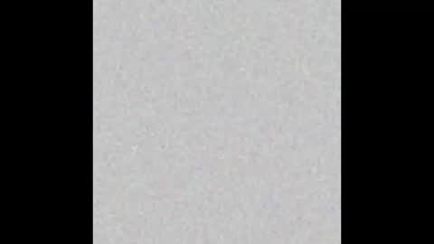 Carolina online show from March 27, 2026, 11:54 am