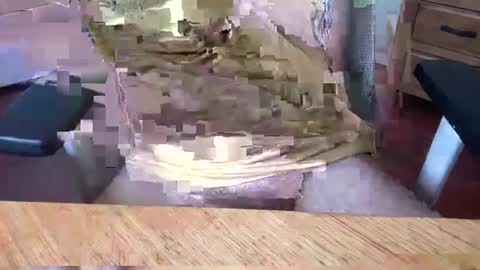 Snapshot of aussielatino82 chatting on March 5, 2025, 5:07 am Rich online show from March 5, 2025, 5:07 am