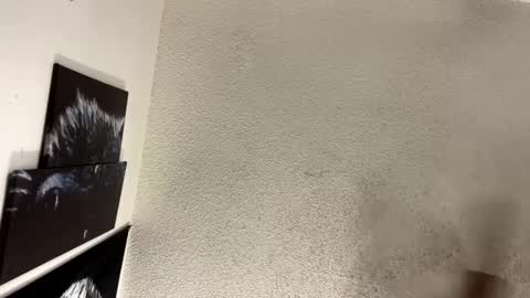 Snapshot of avalkyerieandherheathen chatting on February 5, 2025, 1:37 am Lily Orion online show from February 5, 2025, 1:37 am