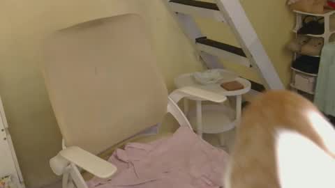 Rhian online show from February 16, 2026, 3:24 am