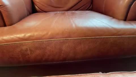 avgdiver online show from January 18, 2026, 8:23 pm