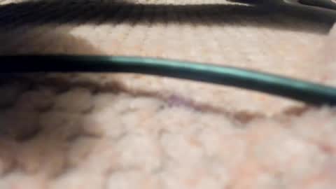 Axell online show from March 28, 2026, 9:09 am