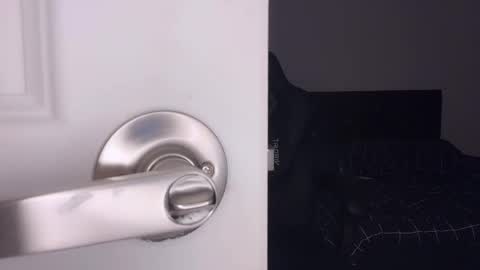 Aya online show from March 7, 2026, 8:00 am