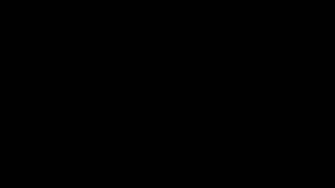 Ayden Miller online show from December 2, 2024, 6:52 am