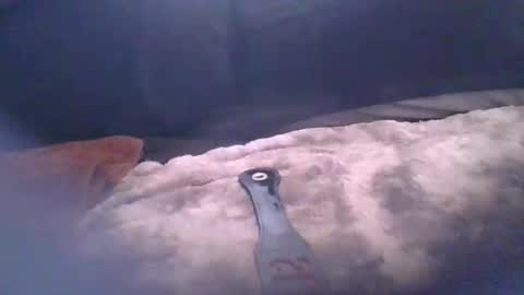 bacchusexx15 online show from April 17, 2026, 4:43 pm